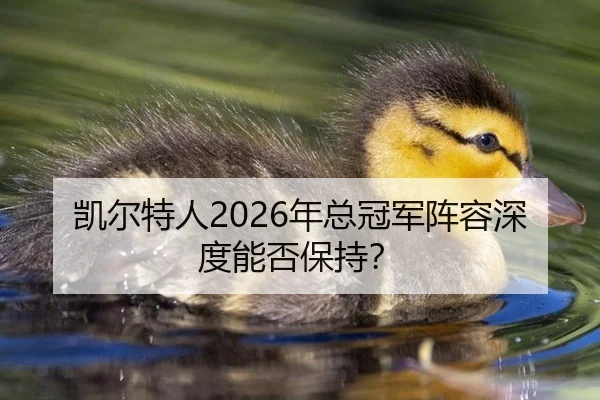 凯尔特人2026年总冠军阵容深度能否保持？